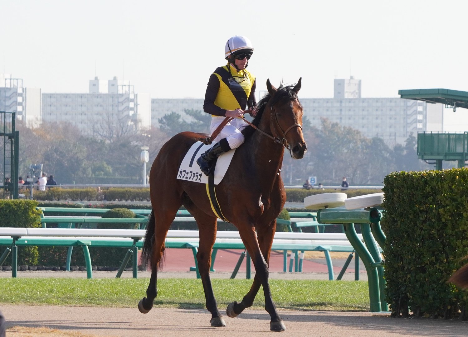 新馬戦でのカフェファラオ　(C)Satoshi Hiramatsu