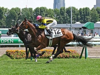 不評を覆し良馬続出のハービンジャー産駒。~キングジョージ優勝馬の血脈~<Number Web> photograph by NIKKAN SPORTS