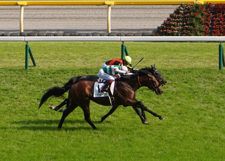 エフフォーリア（手前）をわずかに差し切ったシャフリヤール