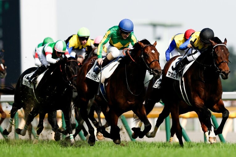 2億3000万円のサトノダイヤモンドは落札額の3倍以上の賞金を稼ぎ出した　©Kiichi Matsumoto