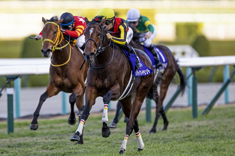 GI初制覇は2022年の阪神ジュベナイルフィリーズだった　©Sipa USA/JIJI PRESS