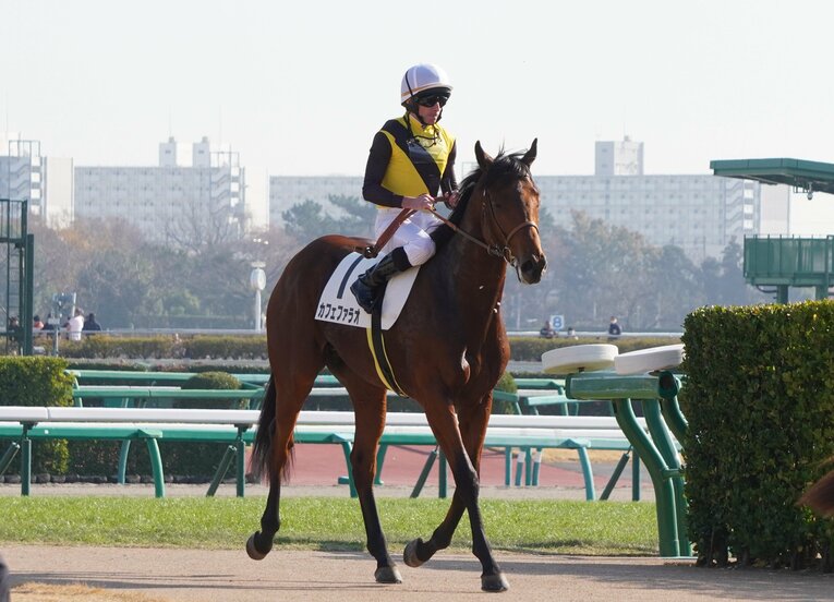 新馬戦でのカフェファラオ　(C)Satoshi Hiramatsu