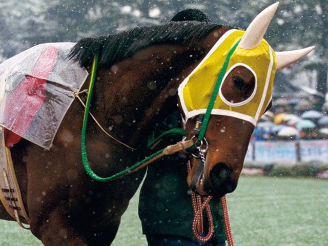 テイエムオペラオーに勝ち、単勝20倍の番狂せ…アグネスデジタル＆四位