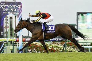 【必見】マイルCSの主役、グランアレグリアは“DNAの呪い”を抜け出した？　アーモンドアイを負かした名馬が再び