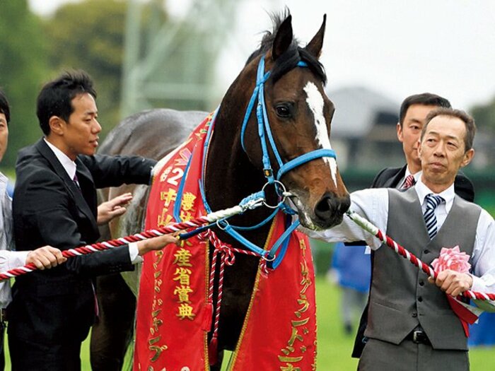 史上最強の障害馬が平地参戦。平地でも重賞級の脚力は本物か。～オジュウチョウサンが武豊を鞍上に異例の挑戦～＜Number Web＞ photograph by Photostud