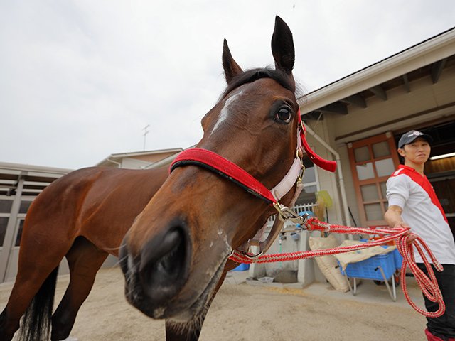 無敗のオークス馬」は過去4頭だけ。絶好枠13番のラヴズオンリーユーは