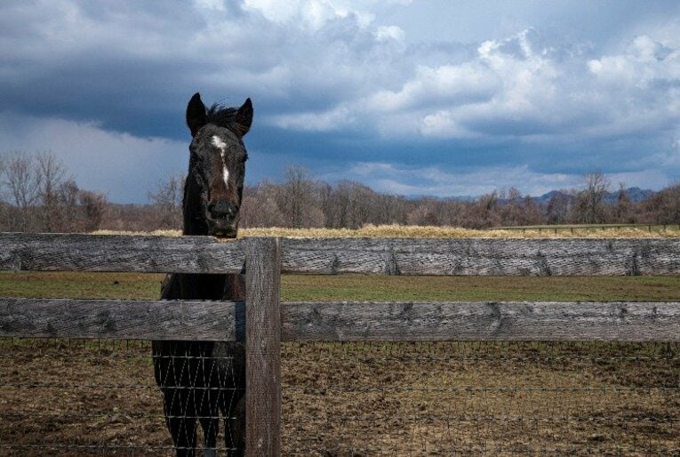 「前輪駆動」から「四輪駆動」へ。成長する王者コントレイルの原点。(3)