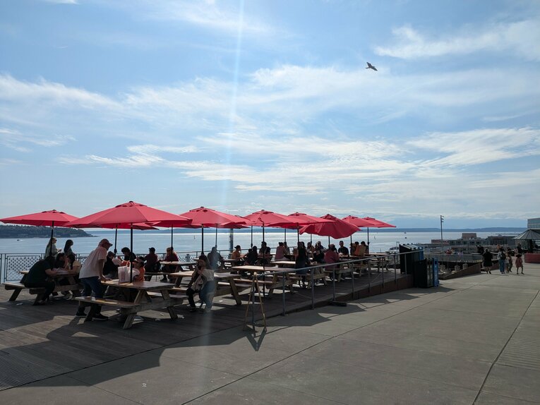 写真で見る「漫画家夫婦のアメリカ珍道中」（30枚超）©Junsei Chida