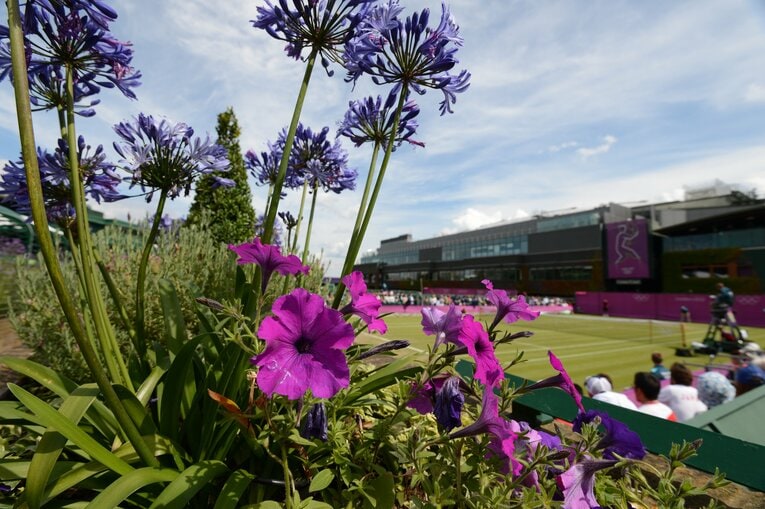 ロンドン五輪テニス競技でも使われたウィンブルドンのコート　©JMPA