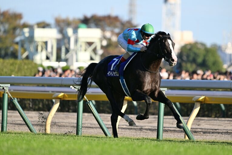 イクイノックスは一瞬で後続を突き放し、独走態勢に入った　©Keiji Ishikawa