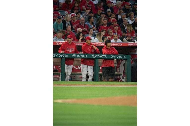 2018年©Nanae Suzuki