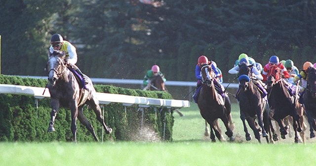 父子制覇》菊花賞の鉄則は「逃げたら勝てない」…セイウンスカイ