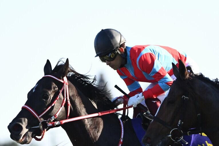 コントレイルの父はディープインパクト。父仔二代で無敗の三冠馬となった　©Keiji Ishikawa