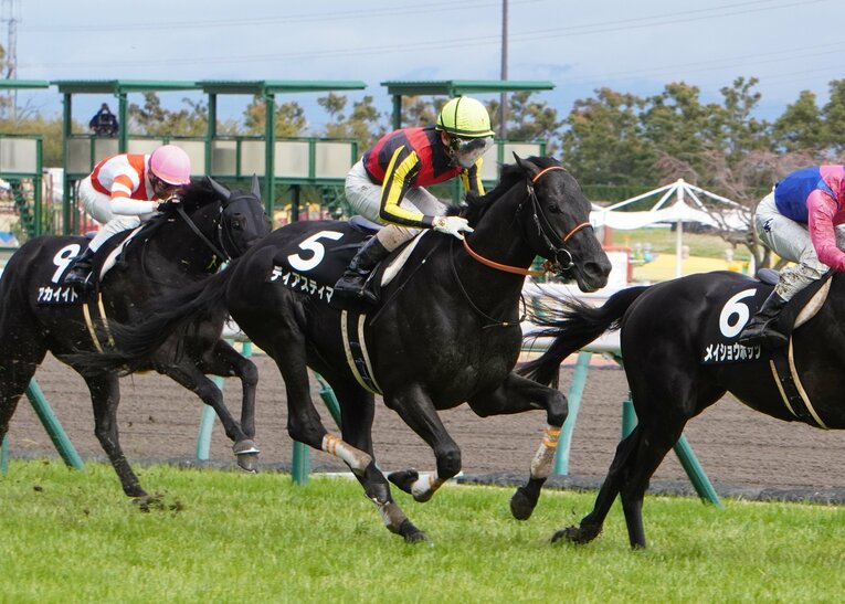 ディアスティマ