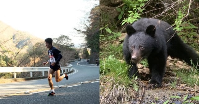 箱根駅伝〉山上りの5区にクマはいる？「戦前に絶滅したはずが…」約70年