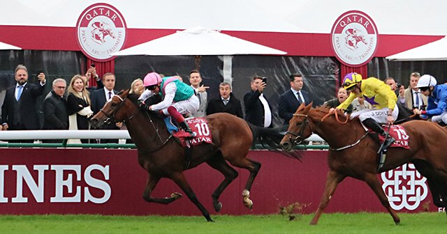 競馬 オルフェーヴル タオル ラストラン 凱旋門賞 限定 セット ディープ＆武豊にオルフェーヴル。凱旋門賞、日本馬の足跡と悲願