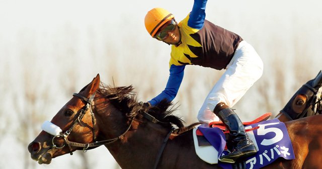 新調教師は語る］アパパネ＆蛯名正義「三冠への三つの変化」 - 競馬