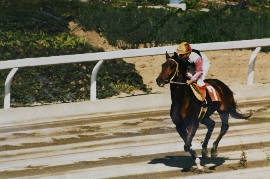 ファンの方から譲り受けた当時の写真、騎乗馬はオグリエイブル