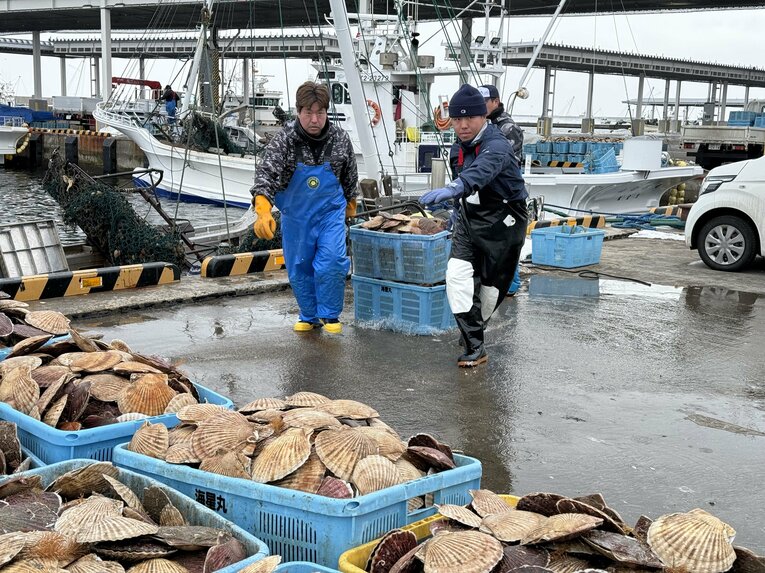 【1年後】「ホタテ漁師」を目指す甲子園出場時の主将・中道さん ©Yuji Yanagawa