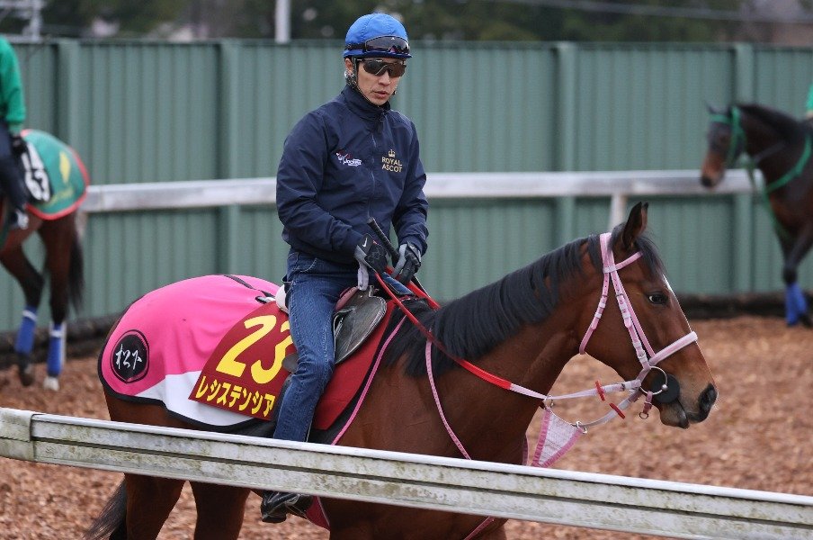 桜花賞の注目は2歳女王+武豊。レシステンシアはキタサンの再来?<Number Web> photograph by Yuji Takahashi