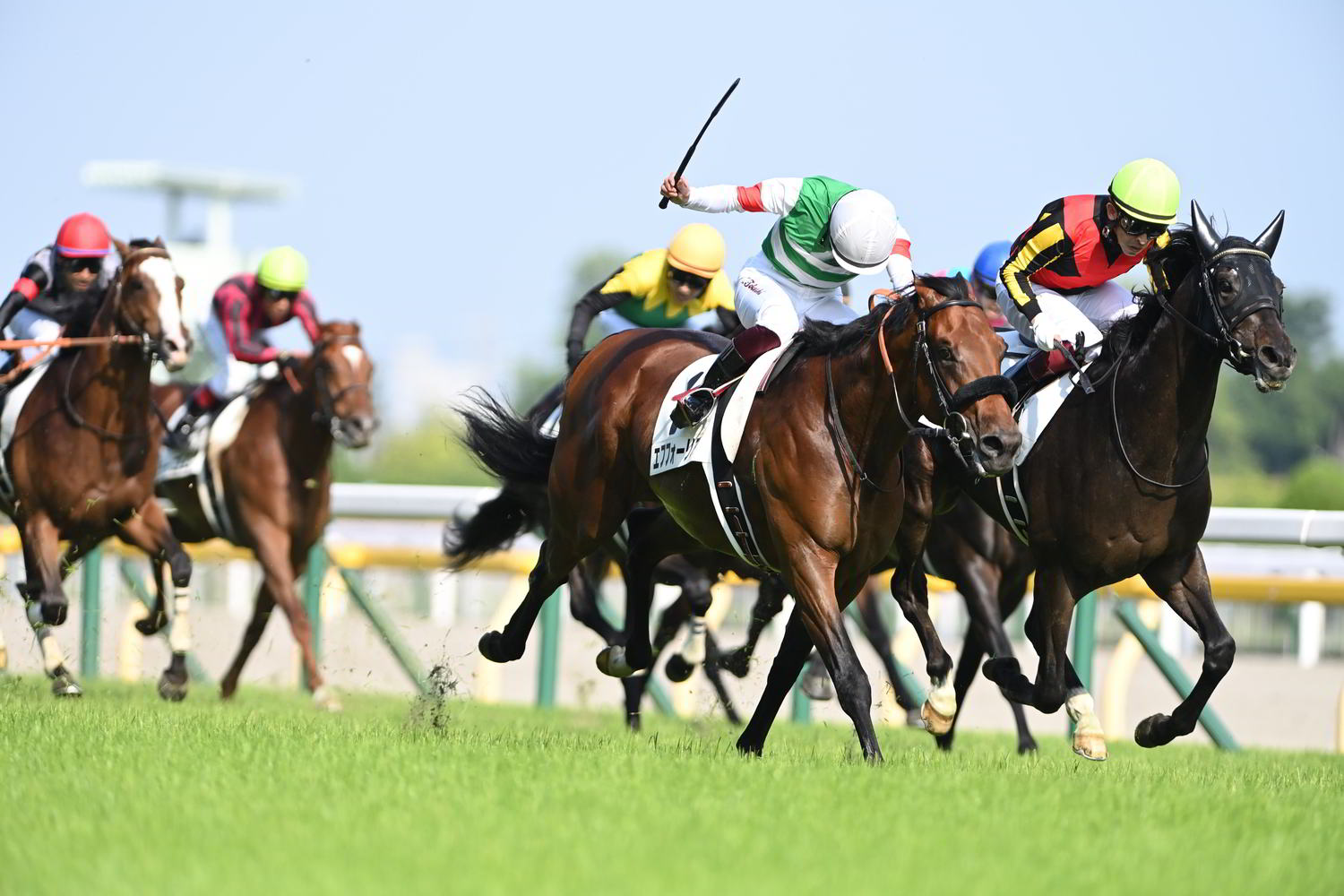 日本ダービー シャフリヤールはなぜエフフォーリアに勝てたのか 彼も今日は悔しくて眠れないでしょう 2 4 競馬 Number Web ナンバー