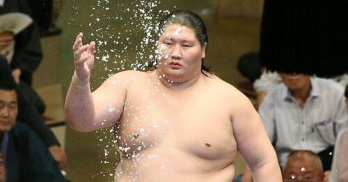 商品画像：電撃引退」逸ノ城30歳とは何者だったのか？「ずっと部屋でひとり 5