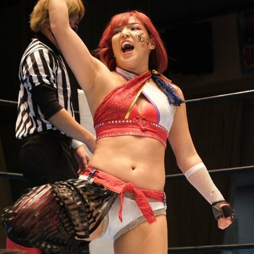 BBM 女子プロレスカード2014 TRUE HEART レギュラー 045 志田光