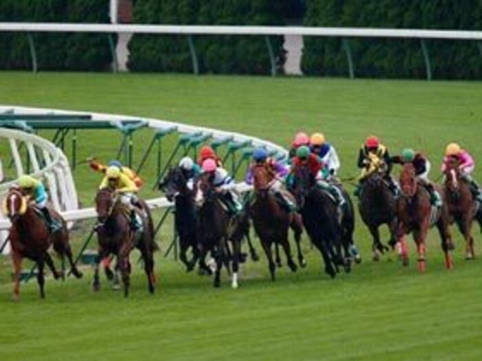 JRA、夏の改革は、秋の実りをもたらすか?<Number Web> photograph by Shigeyuki Nakao