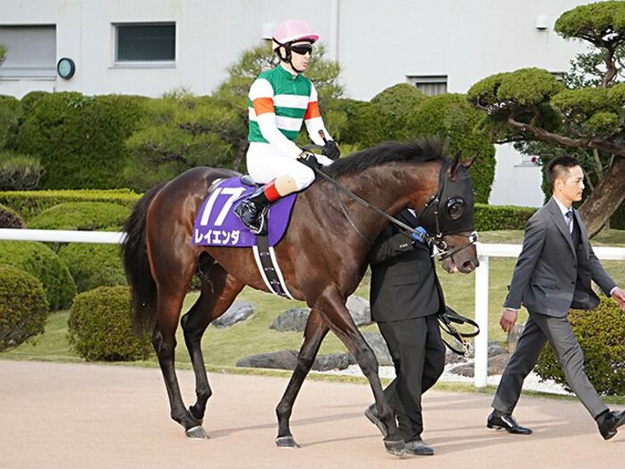 難解重賞函館記念は今年も多士済々。3頭出しの藤沢厩舎への対抗馬は?<Number Web> photograph by Satoshi Hiramatsu