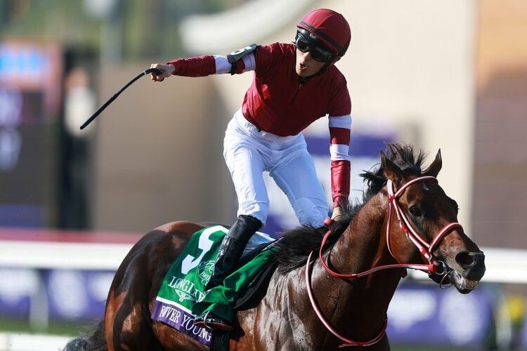 凱旋門賞より遠い”BCクラシックを制覇…フォーエバーヤング“年度代表馬