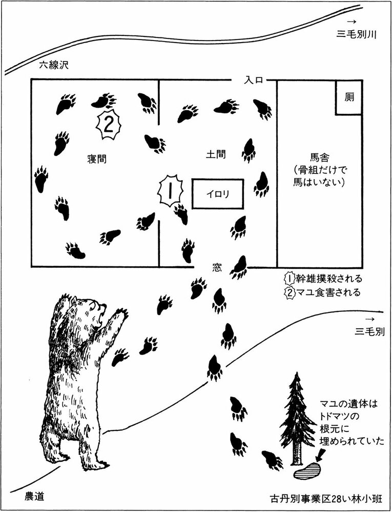 12月9日午前10時半頃、熊は太田家の窓から侵入した。まず炉端で幹雄を撲殺し、次にマユを食害して侵入した窓から山へ連れ去った。