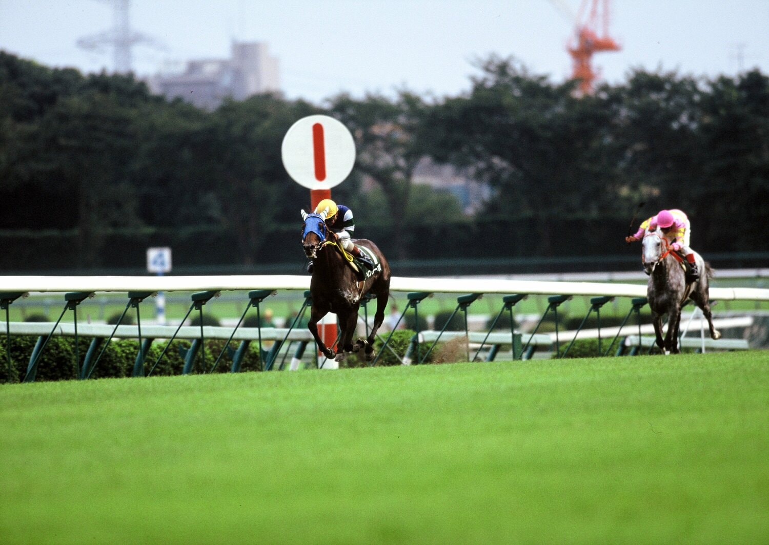 1993年、中舘英二がオールカマー（当時はGIII）で騎乗し逃げ切ったツインターボ　©Tomohiko Hayashi