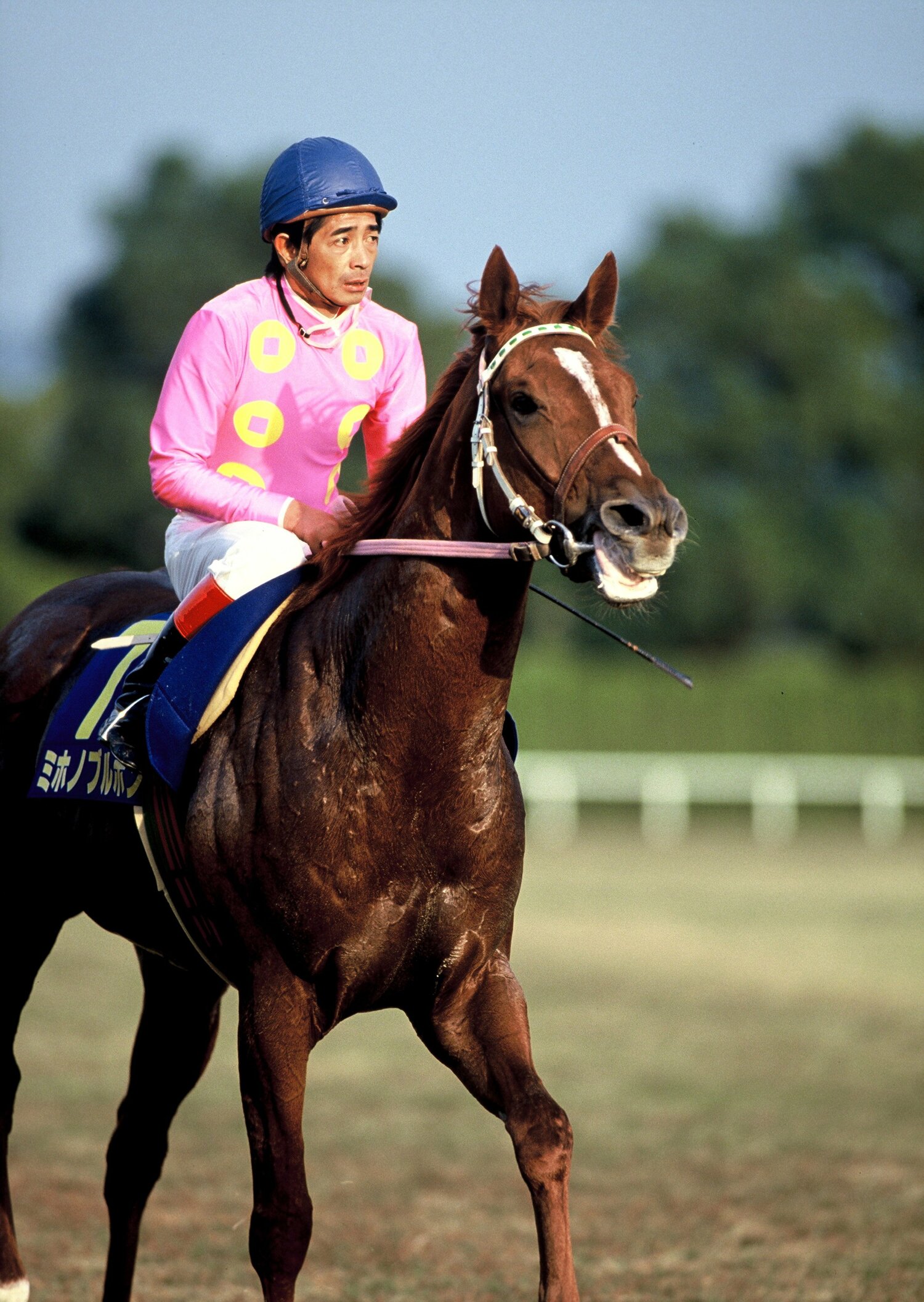 92年の牡馬クラシックを席巻したミホノブルボン　©BUNGEISHUNJU