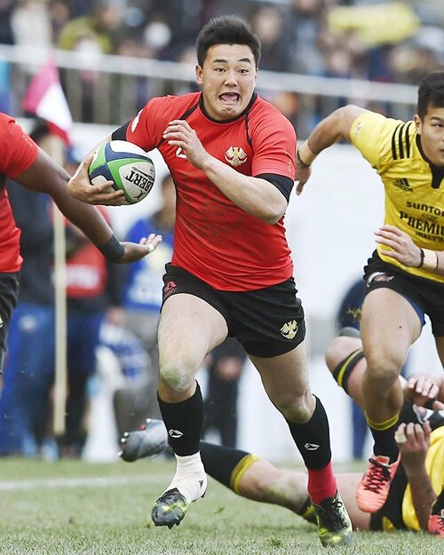 サントリーサンゴリアス短パン