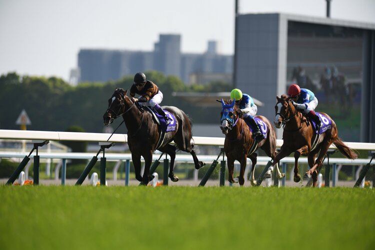 あのキタサンブラックはディープインパクトでも差せないよ」 天皇賞