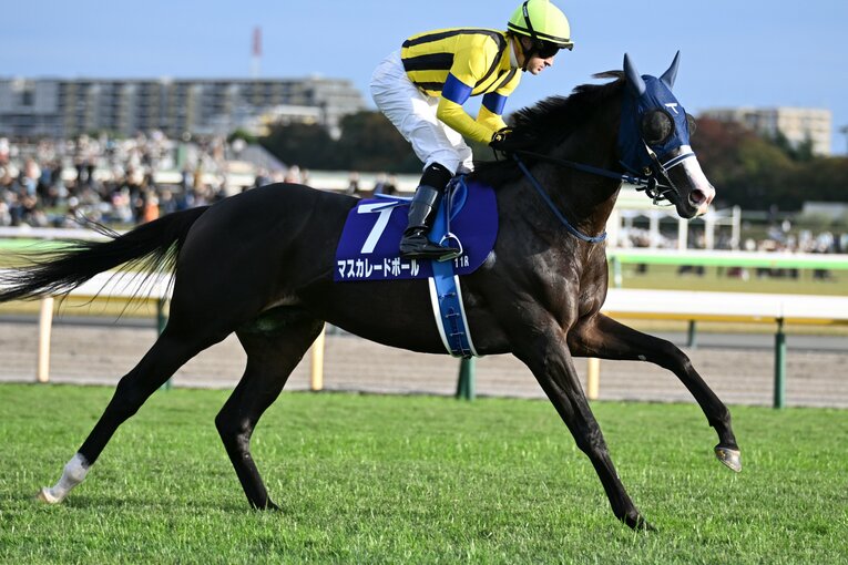 マスカレードボールの返し馬　©Keiji Ishikawa