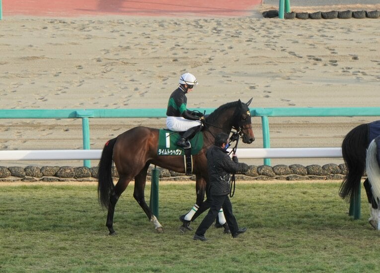 タイムトゥヘヴン