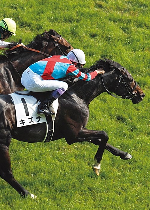 上がり3F33.5秒の豪脚でエピファネイアを差し切り、第80代ダービー馬に
