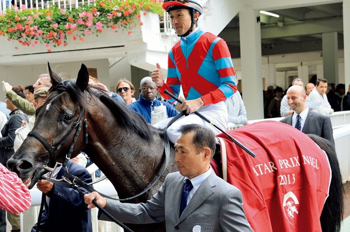 即納/送料無料 キズナ 武豊 凱旋門賞 パネル その他スポーツ