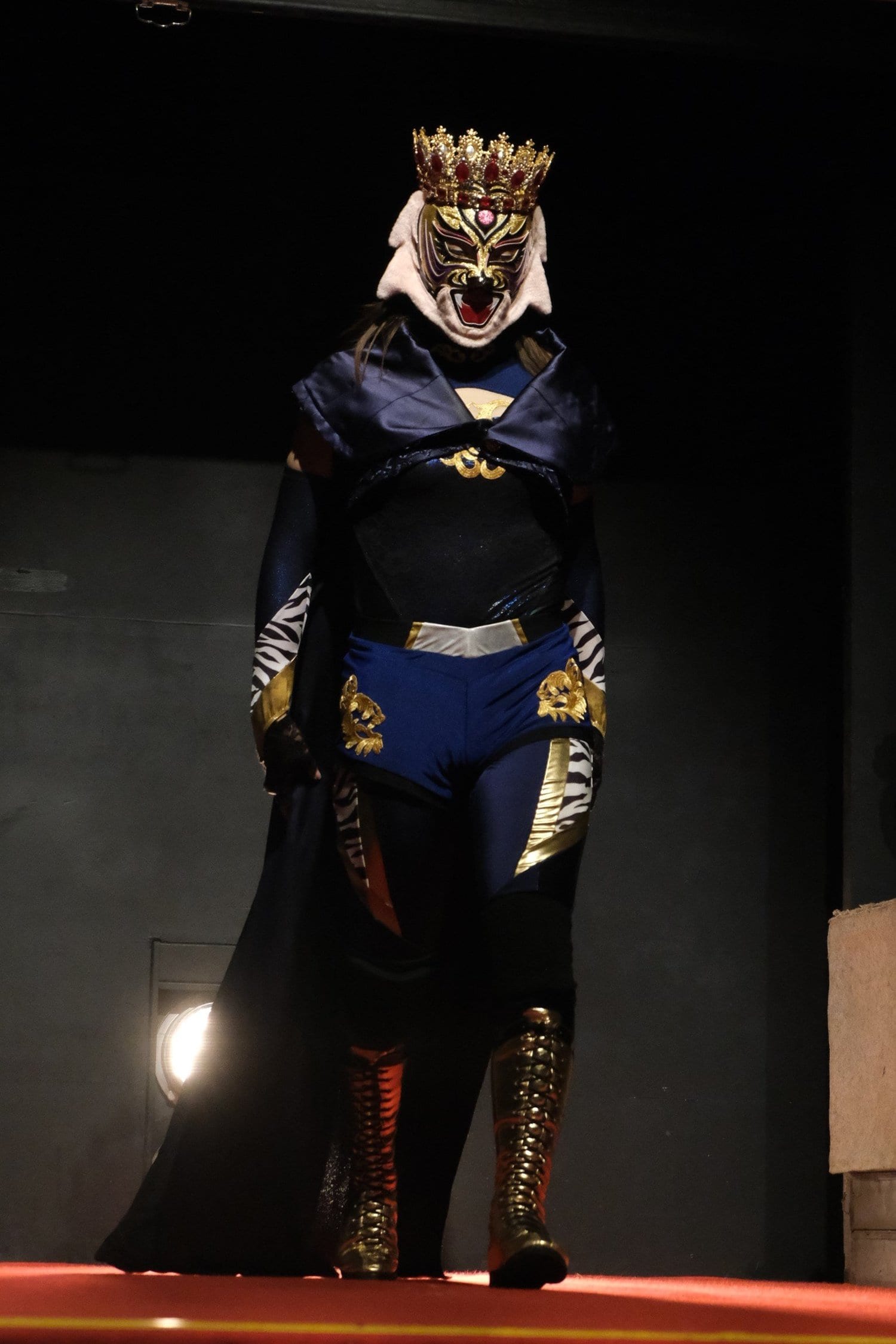 デビュー2戦目を迎えたタイガー・クイーン