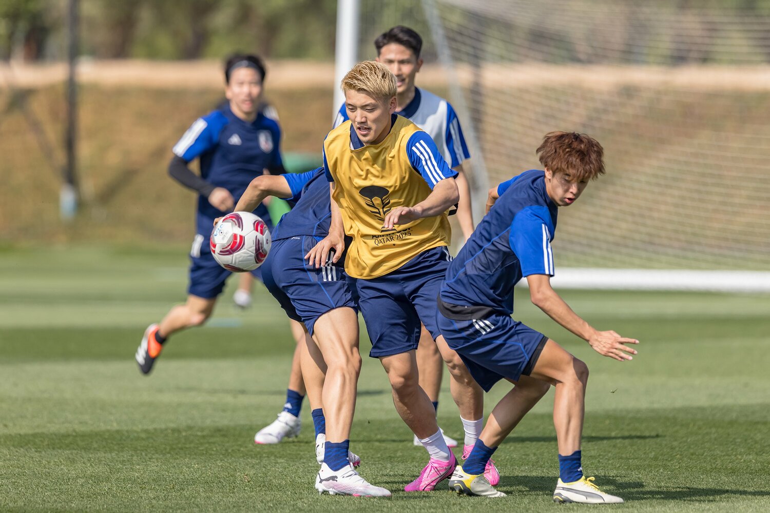 トレーニングパートナーとして参加した2024年のアジアカップ。堂安律と練習で競り合う　©Getty Images