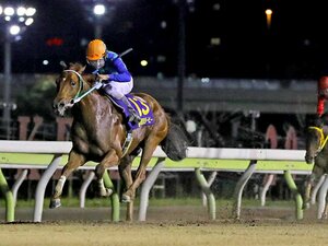 「地方競馬でケンタッキーダービーができないか」……24日間で全国8つの“ご当地ダービー”が続く理由とは