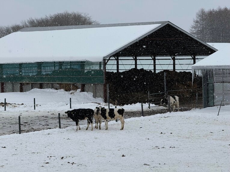 【1年後】別海町の様子　©Yuji Yanagawa