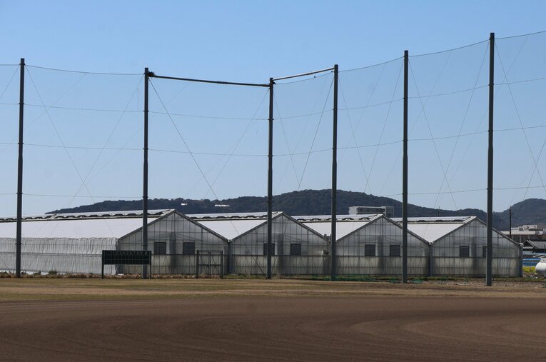 グラウンドの奥には農業高校らしいビニールハウスも　©Fumi Sawai