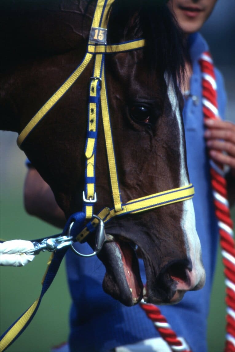 1996年オークス、エアグルーヴ　©Keiji Ishikawa
