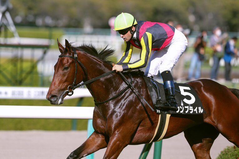 もみじステークスを制したウンブライル（この時の鞍上はルメール）　©AFLO