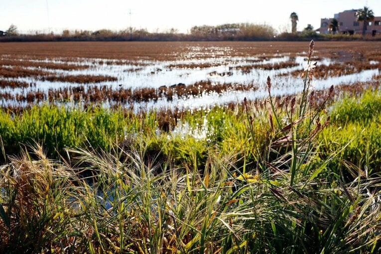 久保建英がエメリ戦術にハメられた？ “代表前の古巣ビジャレアル戦”撮影カメラマンが見た苦闘の要因〈少年ファンはユニをおねだり〉(47)
