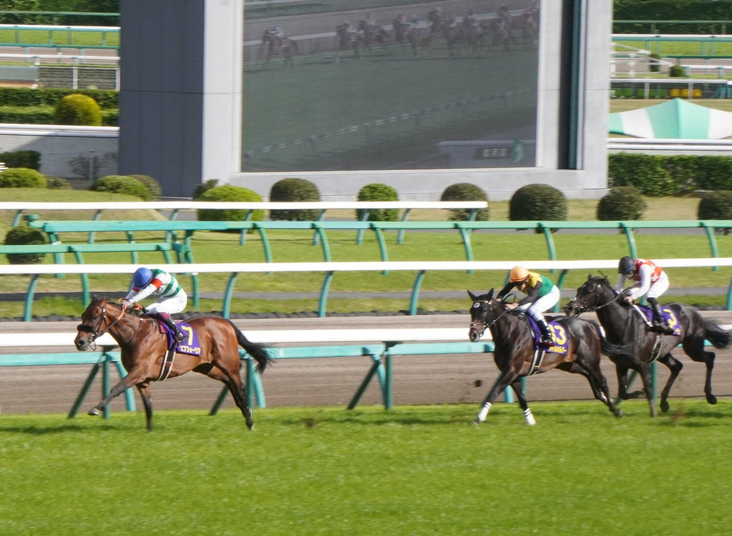 皐月賞では1着エフフォーリア、2着タイトルホルダー、3着にステラヴェローチェ。有馬記念で敗れた2頭の巻き返しはあるか ©Satoshi Hiramatsu