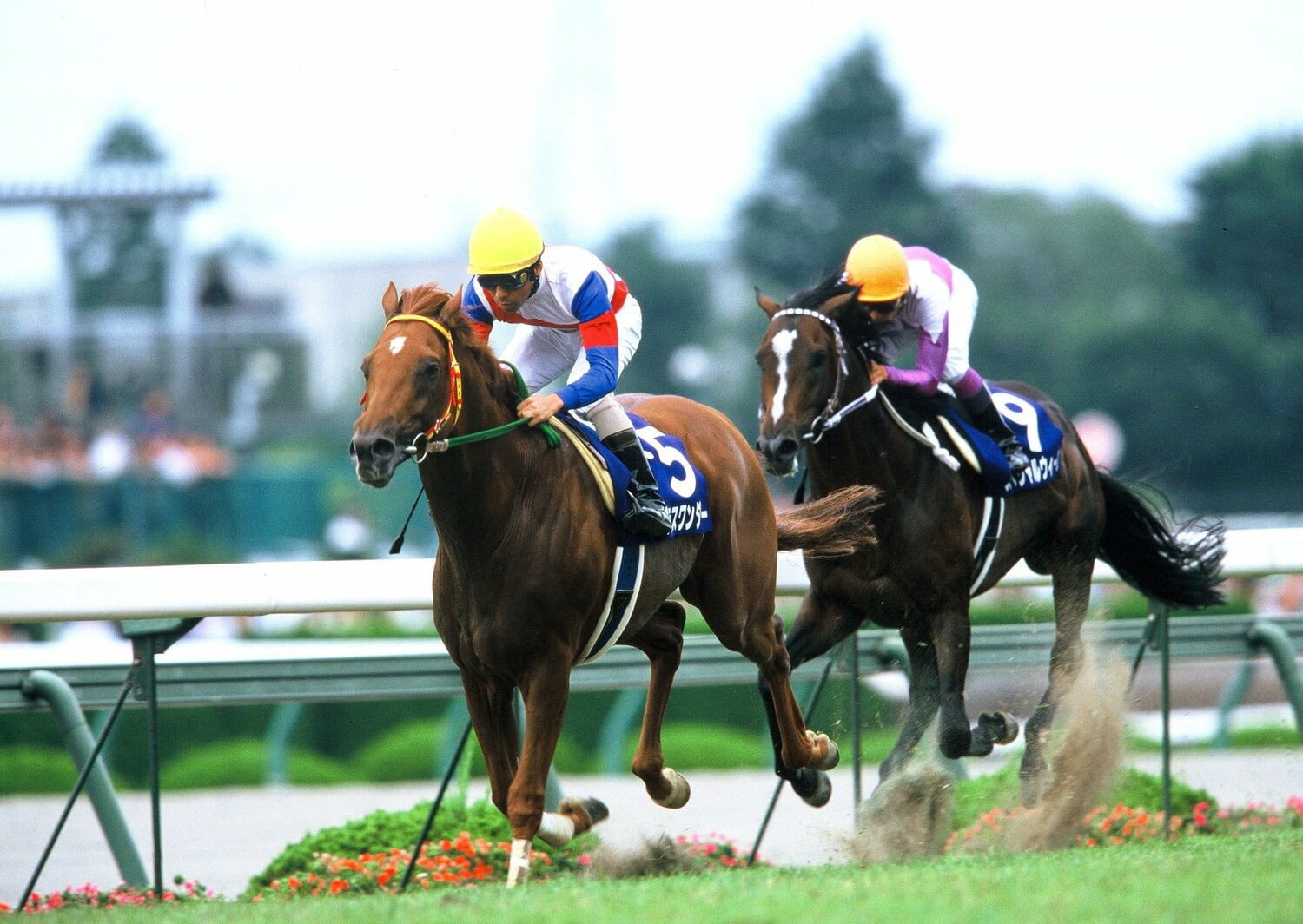 ディープインパクトが負けた日 北島三郎愛馬の引退レースは何位 あなたが選ぶ最高の有馬記念 6 10位発表 1100人アンケート 4 4 競馬 Number Web ナンバー