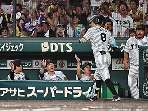 ［掛布雅之が解説］サトテルの進化と真価